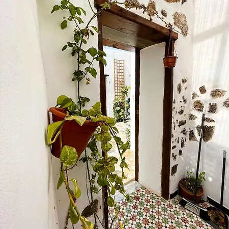 Eco Reyna House Holiday home